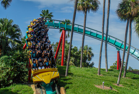Busch Gardens Tampa roller coaster