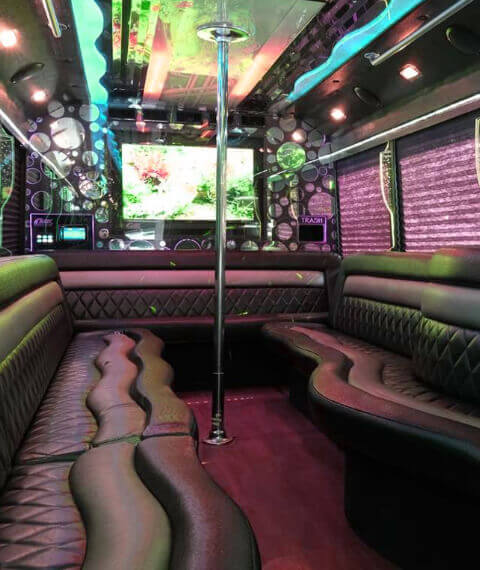 deluxe party bus in clearwater