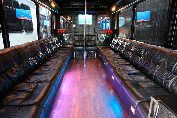 18 passenger party bus