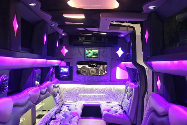 tampa hummer limo