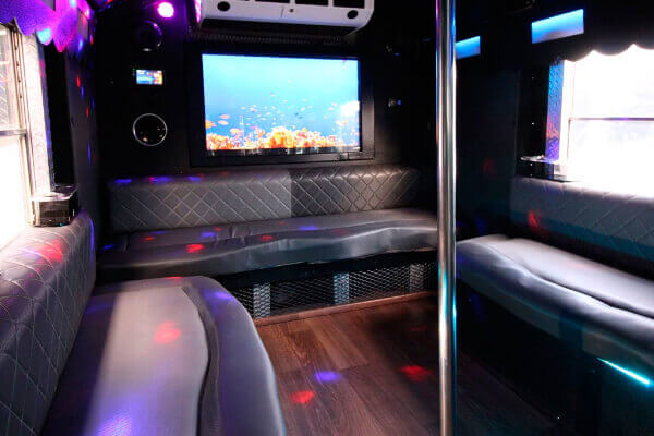 34 passenger party bus