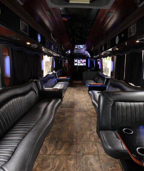 45 passenger party buss